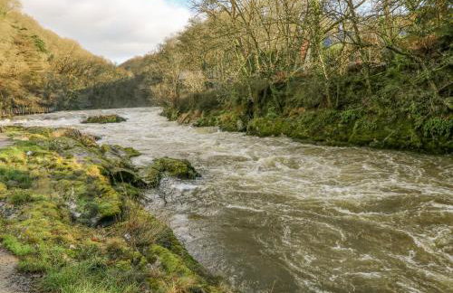 Doirewood - Photo 23