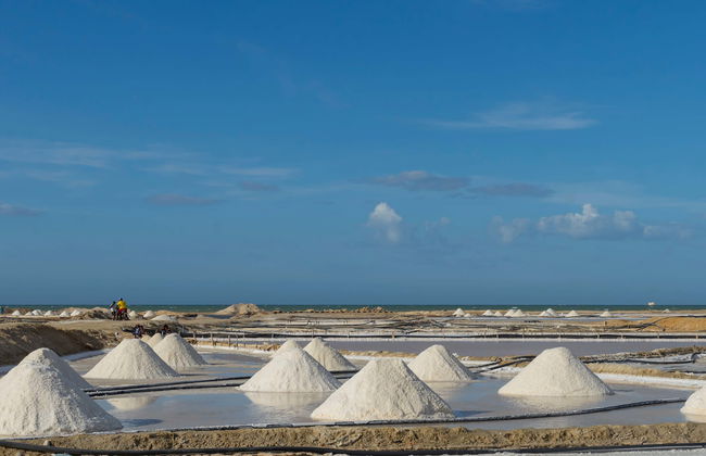 Excursión a las salinas de Manaure + Ranchería wayúu - Foto 1
