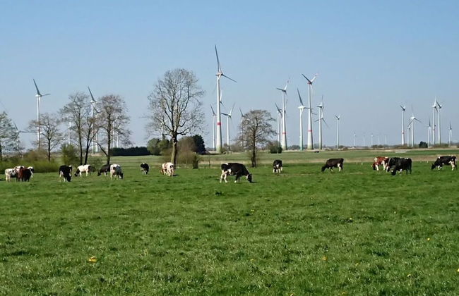 Coastal View of East Frisia - Foto 13