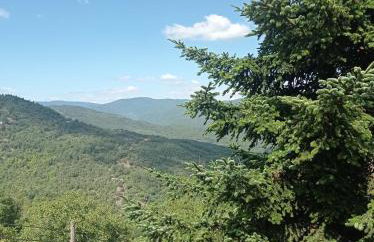 Άγρια Λούλουδα Κατοικία Αρμονία - Photo 51