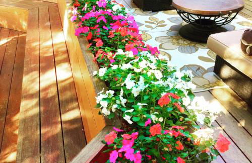 Little Paradise with Sauna Garden near Downtown - Foto 11