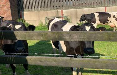 Newton Hall Farm cottage, hot tub garden views Nr Lytham Ribby - Foto 26