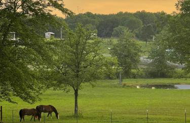 Horse Hideaway Fenced in back yard Dogs Welcome - Foto 1