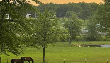 Horse Hideaway Fenced in back yard Dogs Welcome - Foto 1