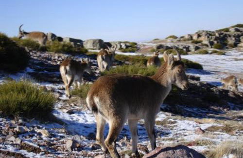 Casa Rural Amparo - Foto 28