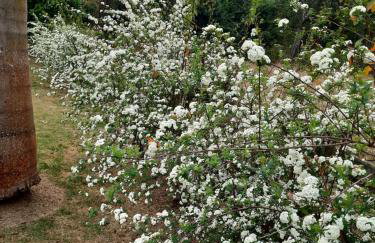 Toca - Bairro Serrano - Foto 28