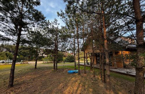 Bór i Woda - klimatyczny, drewniany dom w sercu jezior i lasów - Foto 39