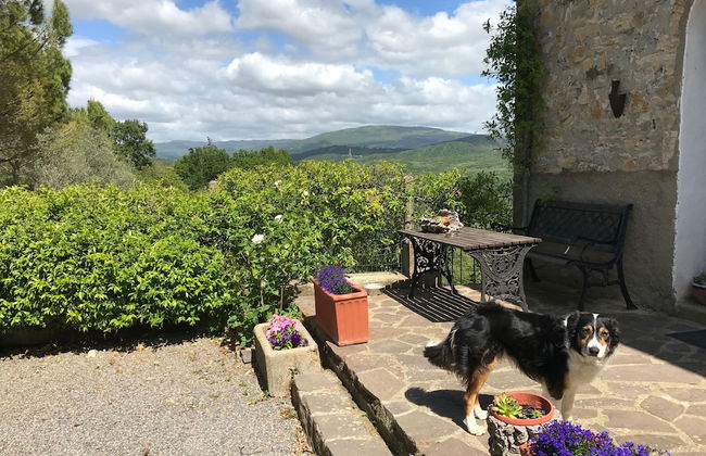 Agriturismo San Ottaviano - Foto 2