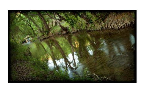 Villa Escutia - Photo 35