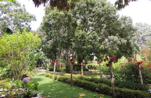 Sitio Alto da Montanha - você em paz com a natureza - Foto 36