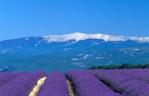 MAS DE VILLE AVEC PISCINE DANS SON COCON DE VERDURE - ESPRIT INDUSTRIEL - Foto 23