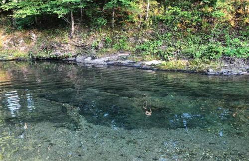 Liberty Cabin on Collier Creek - Foto 30