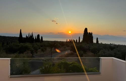 Blue & Green - Foto 6