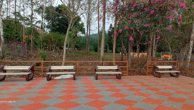 Paseos en raquetas de nieve