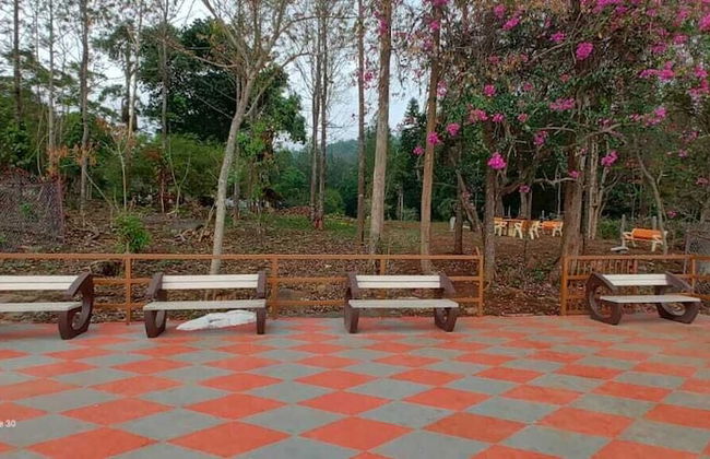 Clermont Resorts - Foto 3