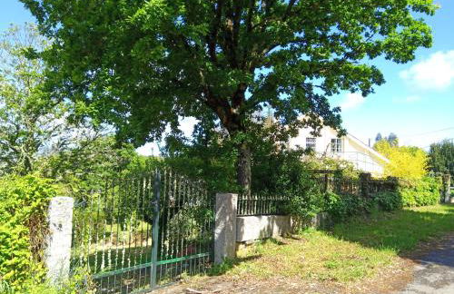 Lar A Rola El precio x una noche es para dia y medio Check in 9am Out 21pm - Foto 7