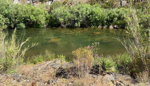 Malhada do Sao - Foto 4