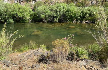 Malhada do Sao - Foto 4