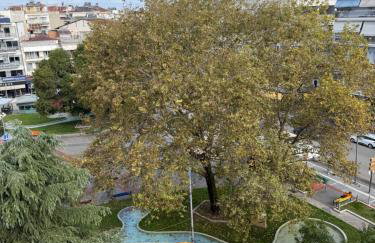 Nest Studio - Foto 4