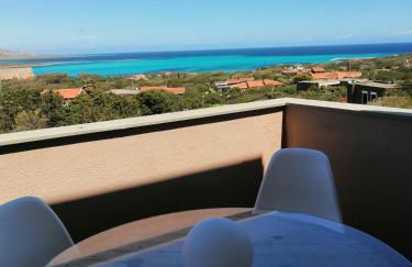 La Finestra su Stintino - Foto 53