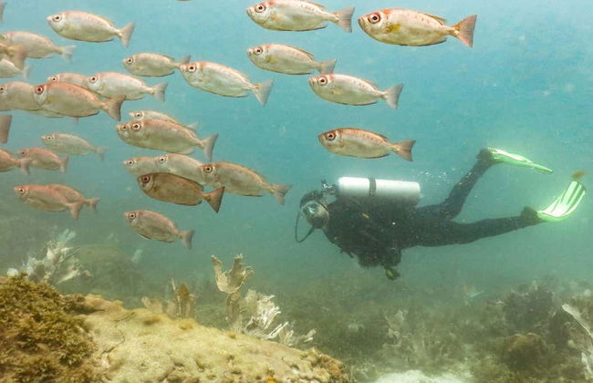 Arraial do Cabo Diving Introduction - Photo 7