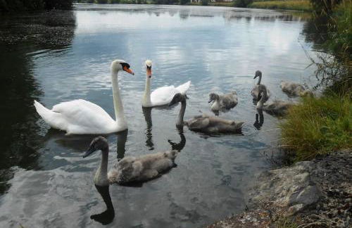 South Lake House - 300m to South Lake Leisure Centre - Foto 22