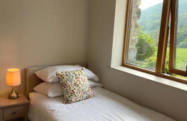 Llety Cynnes - Foto 13