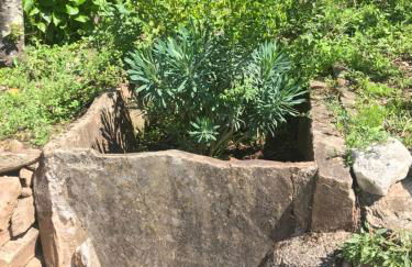 Casa do Volfrâmio - Foto 34