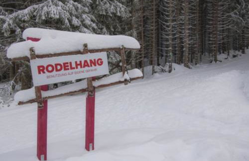 Erzgebirgsidyll Breitenbrunn Ferienwohnung - Foto 48