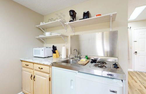 Peaceful Studio Sleeps 4 Gym Near Douglas Lake - Foto 9