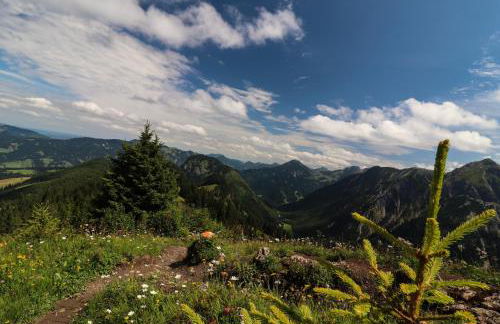 Moderne, 1-Zimmer Ferienwohnung mit Bergblick - Foto 23
