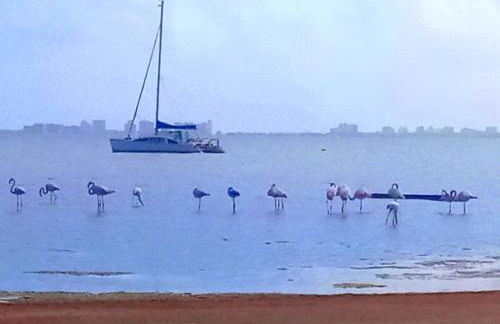 Beachfront House sea views near historic Cartagena - Foto 57