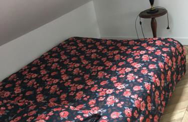 La petite Brainoise - Gîte avec salle jacuzzi 120 jets - Foto 23