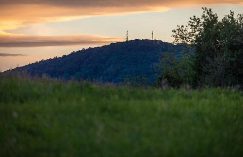 Villa Forestview - Foto 48