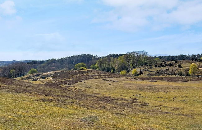 2 Person Holiday Home in Brosarp - Foto 11