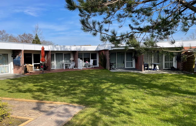 Mondmuschel - Foto 15