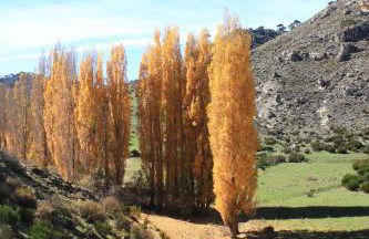 Alojamiento aguasblanquillas - Foto 28