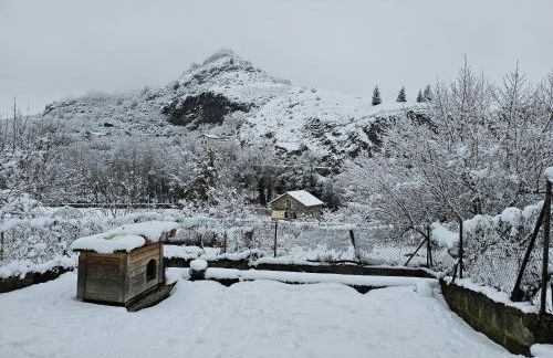 Ludogîte Graine de Jeux - Foto 14