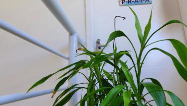 Bertioga Praia do SESC - Apartamento de 2 quartos - Foto 4