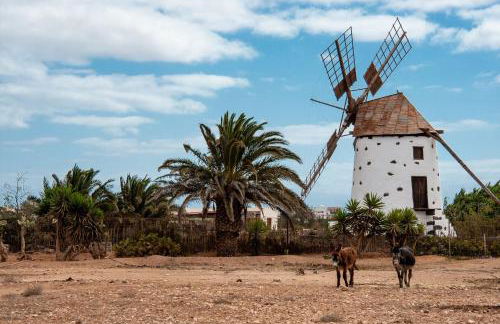 Villa Twins - Foto 29