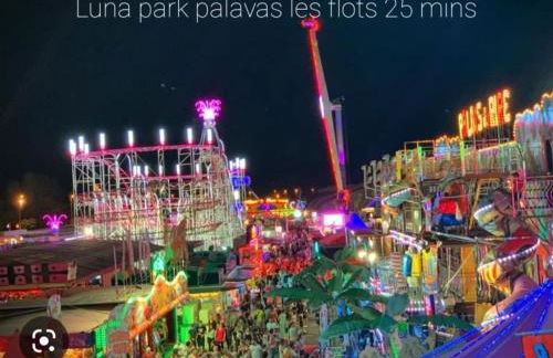 Magnifique logement indépendant "Les Coquelicots", terrasse proche des plages et Montpellier - Foto 44