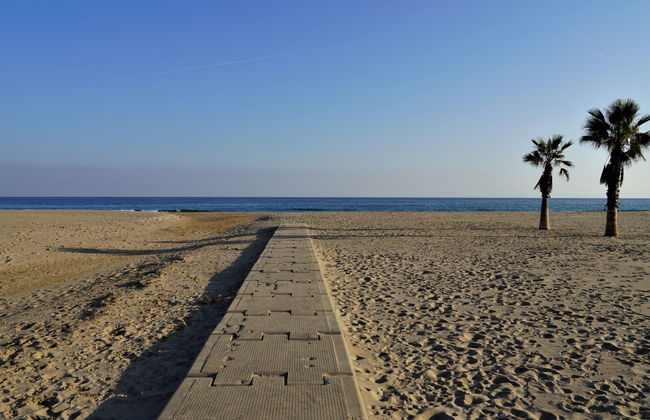 Els Pins Eduardo - Foto 36