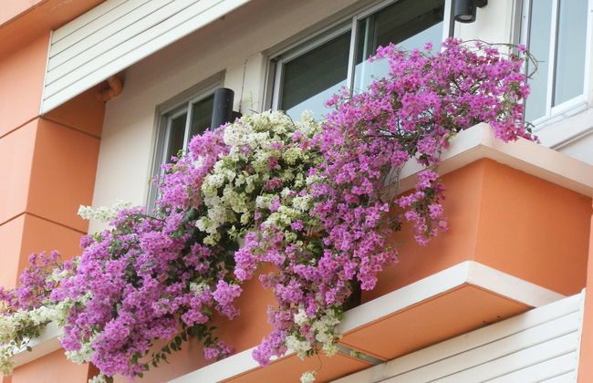 Sandy Serviced Apartment - Foto 43