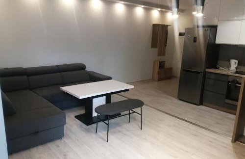 Nowoczesny apartament z dużym tarasem, 2 pokoje - Foto 5