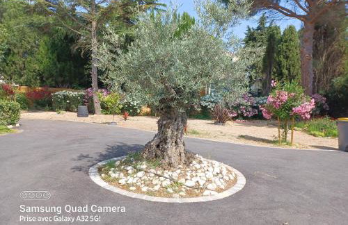Magnifique villa avec piscine 10x5 m sur 1800m2 de terrain avec parking privatif cuisine recente equpee 3 chambres dont 2 parental au rdc avec wc separe pas de vis à vis terrain de petanque bbq climatisation jeux enfants - Photo 18