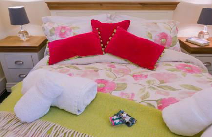 Hen Bost Nefyn - Photo 17