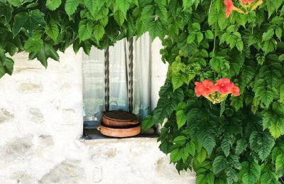 GITE COCOTTE - Foto 26