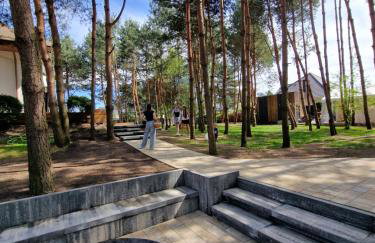 Modra Sikorka - Foto 44