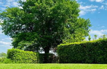 Libertas Tuscan Hideaway - Foto 43