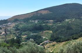 Casa de campo do Rojão do Meio - Photo 4